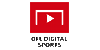 Quality Assurance Manager (f/m) - DFL Digital Sports GmbH - Logo