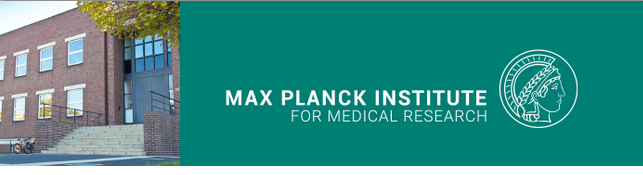 PhD Position In Biophysical Chemistry (f/m/d) - Max-Planck-Institut Für ...