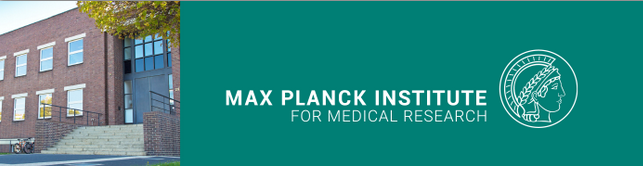Max Planck Institute for Medical Research - Logo