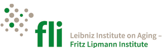 logo  - FLI
