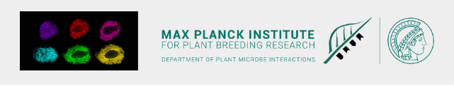 Max Planck Institute for Plant Breeding Research - Logo