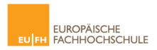 Professur Wirtschaftsinformatik - Europäische Fachhochschule Rhein/Erft GmbH Brühl - Logo