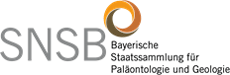Wissenschaftlicher Konservator (m/w/d) an der Bayerischen Staatssammlung für Paläontologie und Geologie (BSPG) - Staatliche Naturwissenschaftliche Sammlungen Bayerns (SNSB) - SNSB - Logo