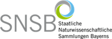 Wissenschaftlicher Geschäftsführer (m/w/d) - Biotopia - Naturkundemuseum Bayern - SNSB - Logo