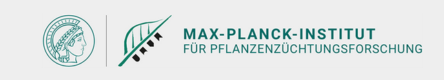 Jurist / Betriebswirt / Verwaltungswissenschaftler (w/m/d) als Verwaltungsleitung - Max-Planck-Institut für Pflanzenzüchtungsforschung - Logo