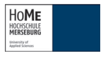 Lehrkraft für besondere Aufgaben (w/m/d) im Fachgebiet Marketing und Internationale Wirtschaft - Hochschule Merseburg - Logo