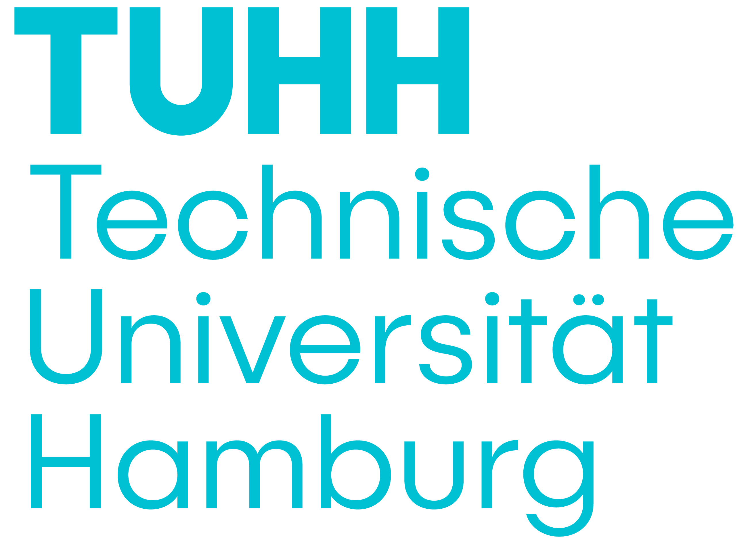 Junior Professorship (W1) with Tenure Track (W3) in the area of Vocational education and digitalization - Technische Universität Hamburg (TUHH) / Hamburg University of Technology (TUHH) - Logo