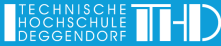 Professur (d/m/w) für das Lehrgebiet »Wasserbau und Siedlungswasserwirtschaft« - Technische Hochschule Deggendorf (THD) - Logo