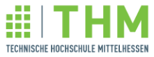 W2-Professur mit dem Fachgebiet Mikroelektronik - Technische Hochschule Mittelhessen Gießen - Logo