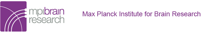 PR and Graduate Education Officer (m/f/div) - Max-Planck-Institut für Hirnforschung - Logo