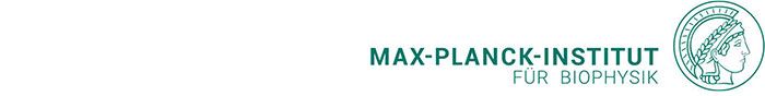 Scientific Coordinator (f/m/div) - Max Planck Institute of Biophysics (MPIBP) - Max-Planck-Gesellschaft zur Förderung der Wissenschaften e.V. - Logo