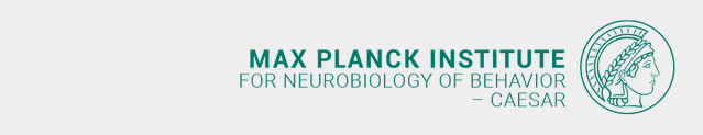 Coordinator (m/f/d) for the International Max Planck Research School (IMPRS) for Brain and Behavior - Max Planck Institute for Neurobiology of Behavior - caesar / Max-Planck-Institut für Neurobiologie des Verhaltens - CAESAR - Max Planck - Logo