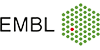 Head of External Scientific Training, EMBL International Centre for Advanced Training (EICAT) - European Molecular Biology Laboratory (EMBL) - Heidelberg - Logo