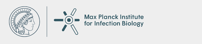 Max-Planck-Institut für empirische Ästhetik - Logo