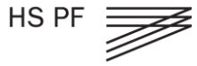 Stiftungsprofessur (m/w/d) (W2) Digital Business Management - Hochschule Pforzheim - Logo