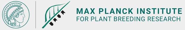 Scientific Coordinator (m/f/div) for PhD Program - Max Planck Institute for Plant Breeding Research - Logo