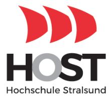Professur (W2) »Angewandte Künstliche Intelligenz« - Hochschule Stralsund - Logo