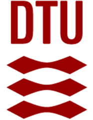 Postdoc in computational modelling of life extension and maintenance of composite blades of wind turbines (f/m/d) - Technical University of Denmark (DTU) - Logo