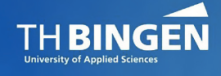 W2-Professur (m/w/d) für Web Science und Data Visualization - Technische Hochschule Bingen - Logo