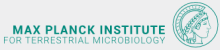 Head (m/f/x) of facility for natural product isolation and structure elucidation - Max-Planck-Institut für Terrestrische Mikrobiologie - Logo