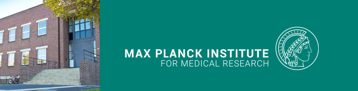 Max Planck Research Group Leader (m/f/div) - Max Planck Institute for Medical Research - Max-Planck-Gesellschaft zur Förderung der Wissenschaften e.V. - Header