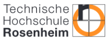 Professorin / Professor (m/w/d) für Pflegewissenschaft, insbesondere Praxistransfer evidenzbasierter Pflege - Technische Hochschule Rosenheim - Logo