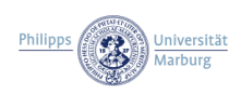 Professur (W 2) für Motologie und Psychomotorik - Philipps-Universität Marburg - Logo
