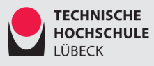 Professur W2 für Bauinformatik / Digitale Methoden im Bauwesen - Technische Hochschule Lübeck - Logo