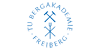 W3-Professur für Automatisierte und Autonome Systeme - Technische Universität Bergakademie Freiberg - Logo