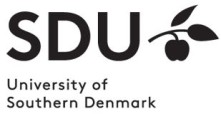 Assistant/Associate professor in Information Studies - Syddansk Universitet (SDU) - Logo