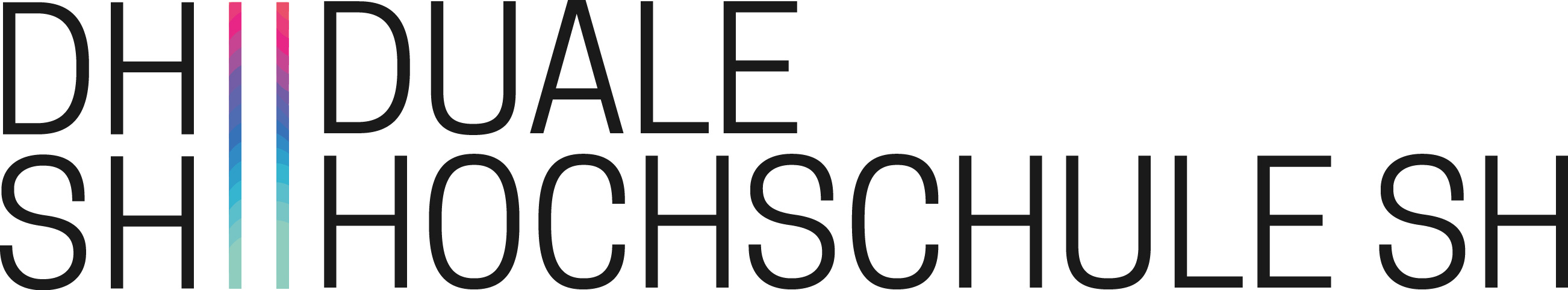 Professur Angewandte Informatik in Voll- oder Teilzeit (m/w/d) - Duale Hochschule Schleswig-Holstein - Logo