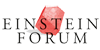 Direktorin / Direktor (w/m/d) - Einstein Forum - Logo