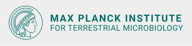 Postdoctoral Reseacher (m/f/x) Metabolomics - Max Planck Institute for Terrestrial Microbiology / Max-Planck-Institut für Terrestrische Mikrobiologie - Header