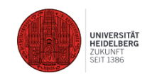 W 3-Professur für Europäische Kunstgeschichte mit Schwerpunkt Mittelalter (w/m/d) - Universität Heidelberg - Logo